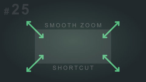 Viewport Smooth Zoom
